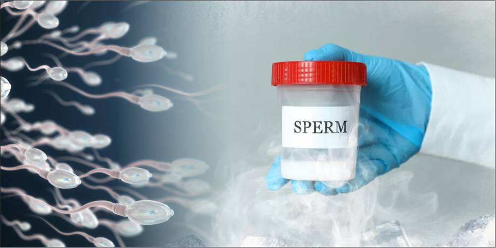 Sperm Freezing In Delhi