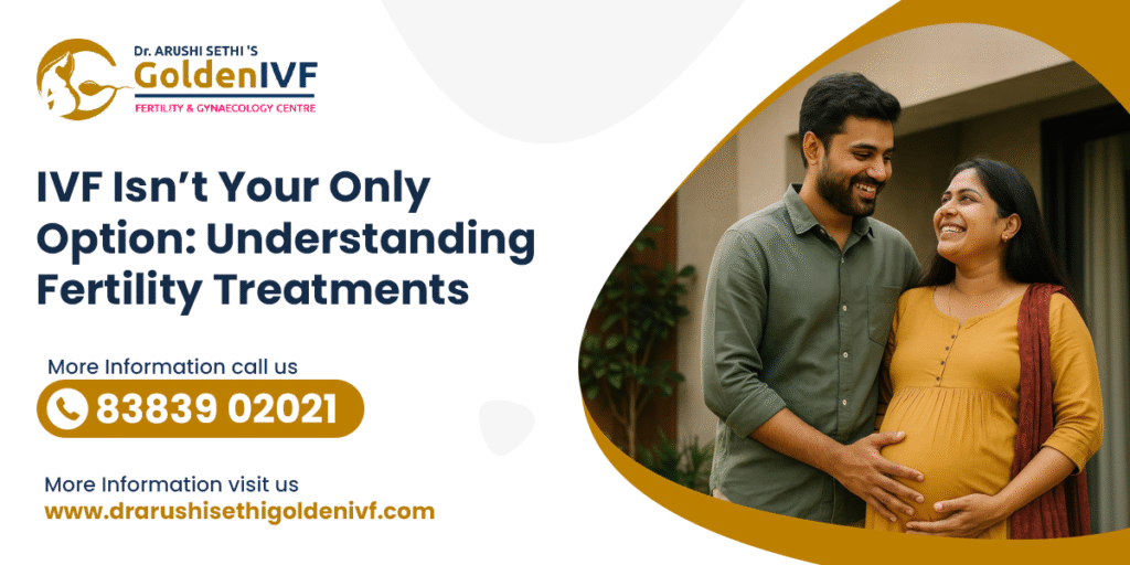 Understanding Fertility Treatments