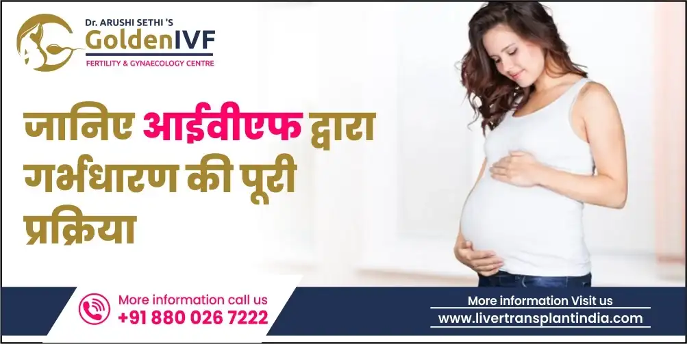 understand-the-complete-ivf-pregnancy-process