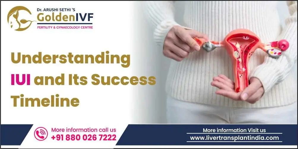 understanding-iui-and-its-success-timeline