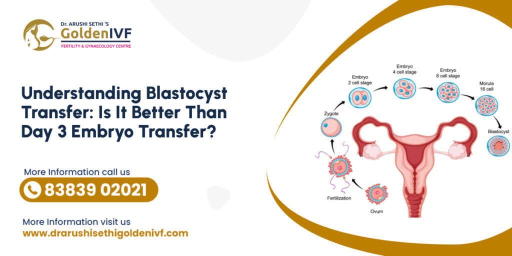 Understanding Blastocyst