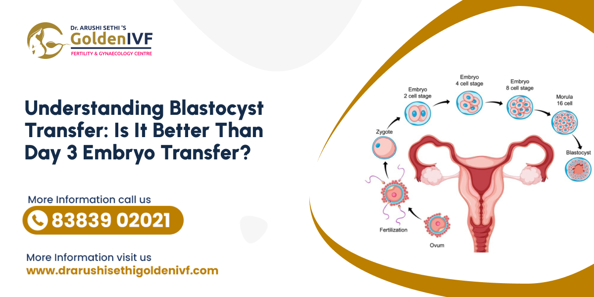 Understanding Blastocyst