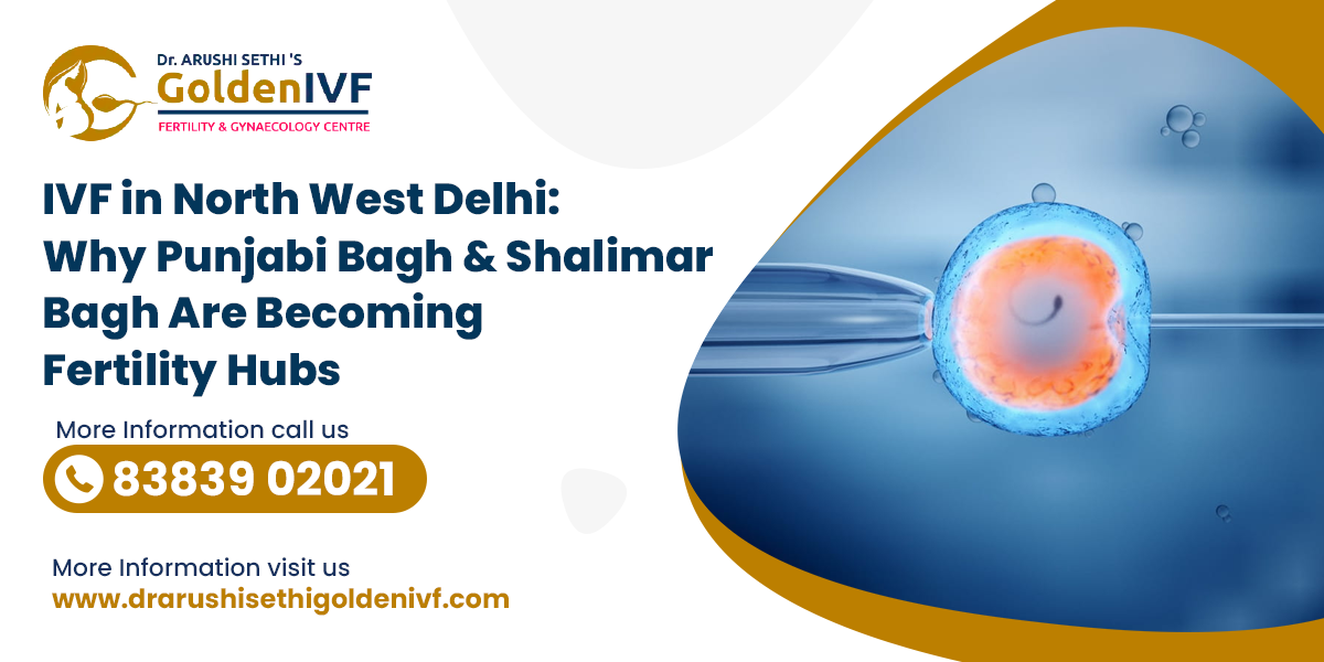ivf centre in punjabi bagh